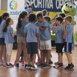 Igra medvema ognjema