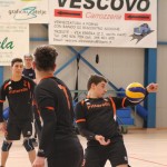 Sloga Tabor - Rojalese