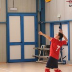 Sloga Tabor - Rojalese