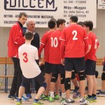 Sloga Tabor - Rojalese