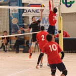 Sloga Tabor - Rojalese