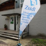 Igra medvema ognjema