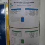 Igra medvema ognjema