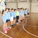 Igra medvema ognjema