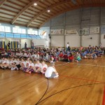 Igra medvema ognjema