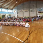 Igra medvema ognjema