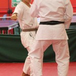 Mednarodni Pokal Zgonik