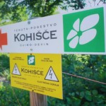 Mednarodni pohod Kohišče