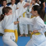 Mednarodni Pokal Zgonik
