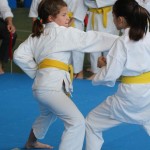 Mednarodni Pokal Zgonik