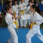 Mednarodni Pokal Zgonik