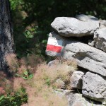 4. mednarodni pohod Kohišče 2018