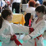 Mednarodni Pokal Zgonik