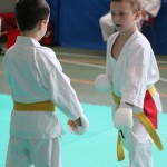 Mednarodni Pokal Zgonik