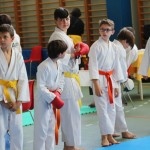 Mednarodni Pokal Zgonik