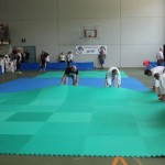 Mednarodni Pokal Zgonik