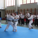 Mednarodni Pokal Zgonik