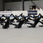 Mednarodni Pokal Sedmak - Bressan