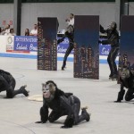 Mednarodni Pokal Sedmak - Bressan