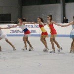 Mednarodni Pokal Sedmak - Bressan