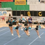 Državno prvenstvo cheerleading