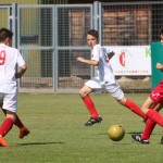 Pokal Krasa - začetniki