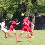 Pokal Krasa - začetniki