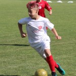 Pokal Krasa - začetniki