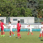 Pokal Krasa - začetniki