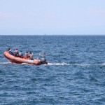 TPK Sirena - tečaj