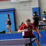 35. mednarodni ekipni namiznoteniški turnir za Pokal Krasa