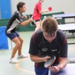 35. mednarodni ekipni namiznoteniški turnir za Pokal Krasa