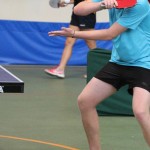 35. mednarodni ekipni namiznoteniški turnir za Pokal Krasa