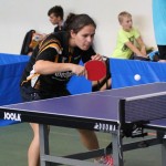 35. mednarodni ekipni namiznoteniški turnir za Pokal Krasa