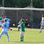 1. Al: Vesna - Domio