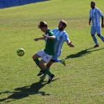 1. Al: Vesna - Domio