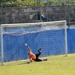 1. Al: Vesna - Domio