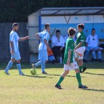 1. Al: Vesna - Domio