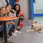 45. Pokal Bazoviških žrtev
