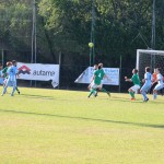 1. Al: Vesna - Domio