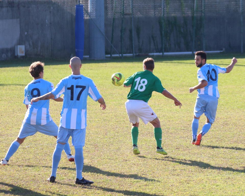 1. Al: Vesna - Domio