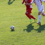 1.Al: Zarja - Primorec