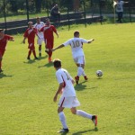 1.Al: Zarja - Primorec
