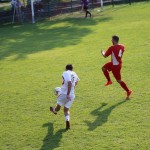 1.Al: Zarja - Primorec