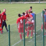 1.Al: Zarja - Primorec