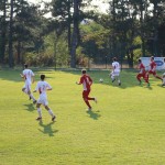 1.Al: Zarja - Primorec