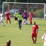 1.Al: Zarja - Primorec