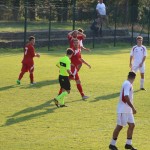 1.Al: Zarja - Primorec