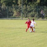1.Al: Zarja - Primorec