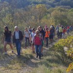SPDG: tradicionalna 
